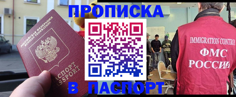 временная регистрация поиск в Благовещенске